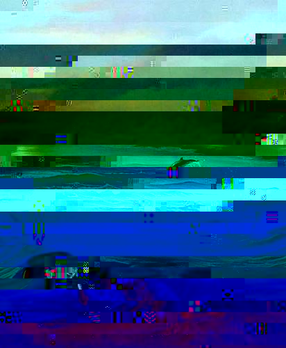 10962105105.jpg
