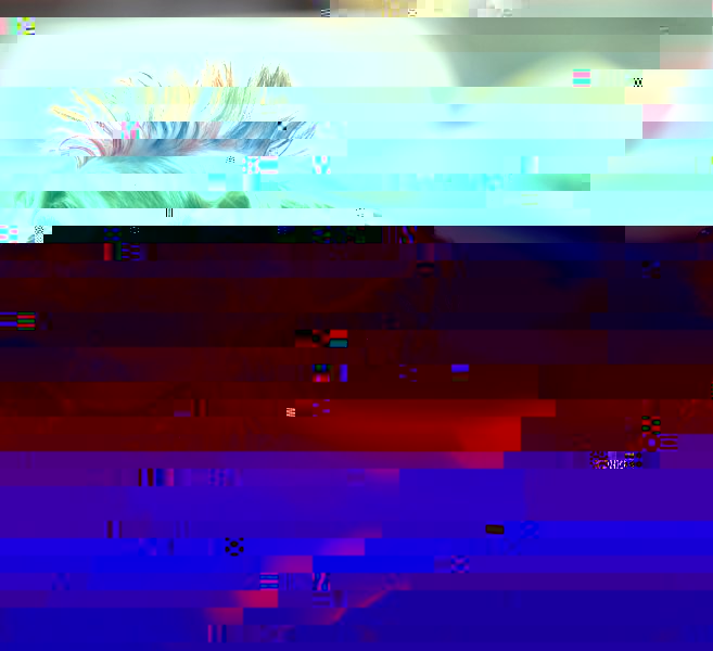 image8474844-idj_zoom.jpg