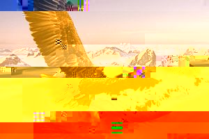 010.jpg