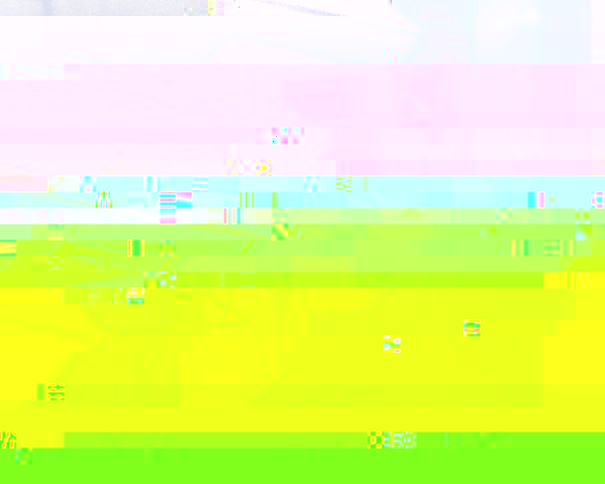 nanoleviers_179.jpg