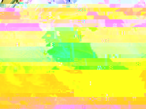 jpg.jpg