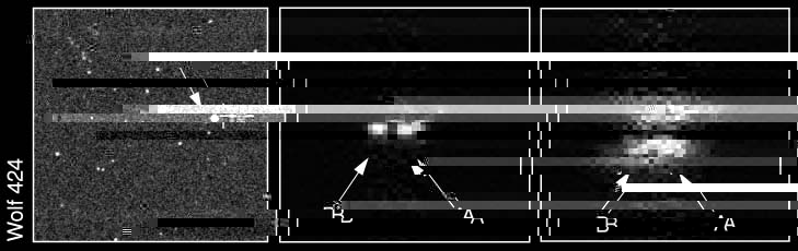 wolf424.jpg