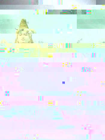 201006162187_w350.jpg