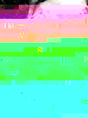 nng_images.jpg