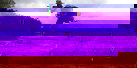 1474982_3_07b9_ill-1474982-d46d-624997.jpg