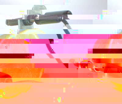citron_science.jpg