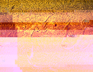 John-Nassr1_strip.jpg