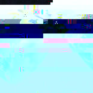 77088591_o.jpg