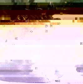 ME0000042928_2.jpg