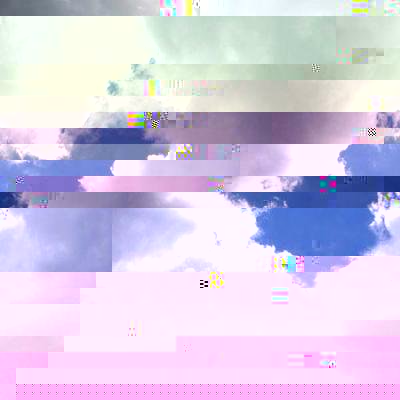 2510355969_1.jpg