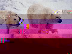 ours_relax-t.jpg