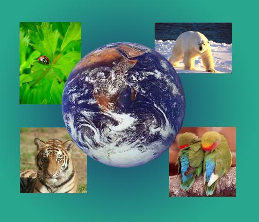 BIODIV2.jpg