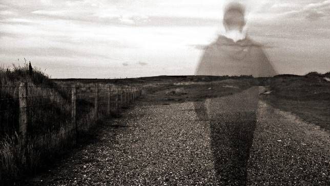 parallel.jpg.653x0_q80_crop-smart.jpg