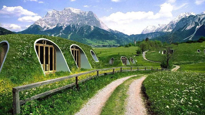 W.S. ECO-GREEN (1).png