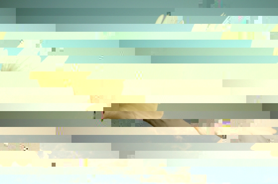 colombe_7919_w560.jpg